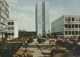 82963 - Bonn - Im Tulpenfeld - 1973 - Bonn