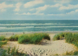 34513 - Dünen Und Strand - Ca. 1980 - Sonstige & Ohne Zuordnung