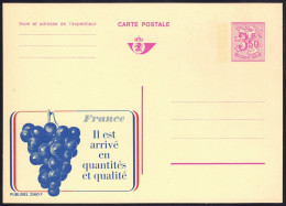 +++ PUBLIBEL Neuf 3F50 - "Il Est Arrivé "- RAISIN - N° 2560 F  // - Publibels