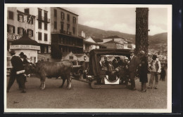 AK Madeira, Urlaubsgäste Im Korbschlitten  - Madeira