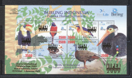 Indonesia 2009- Birds Of Indonesia Overprinted M/Sheet - Indonesia