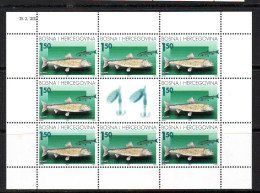 Bosnia: HP Mostar 2001 Fauna Fish  Mi.No.68-69 2 Sheets (8S+L) MNH - Bosnia And Herzegovina