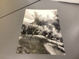 Photo Snapshot 1980 Noir Et Blanc, Femme Dans Son Jardin Qui Est En Train De Passer Le Râteau à Feuilles - Personnes Anonymes