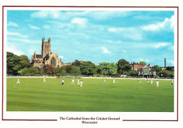 CRICKET GROUND AND CATHEDRAL, WORCESTER, WORCESTERSHIRE, ENGLAND. UNUSED POSTCARD  Nd6 - Other & Unclassified