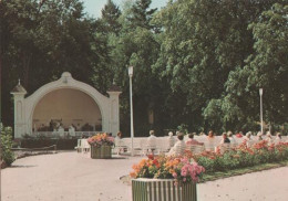 23967 - Bad Lauterberg - Musikpavillon - Ca. 1975 - Bad Lauterberg