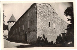 OCCITANIE AUDE VILLENEUVE MINERVOIS : LE CHÂTEAU   -  CIRCULEE - Other & Unclassified