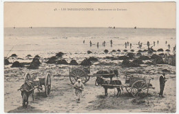 Vendée / Sables D'Olonne, Ramasseurs De Goëmon - Sables D'Olonne