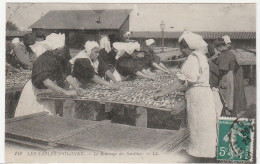 Vendée / Sables D'Olonne, Remuage Des Sardines, Ouvrières Au Travail, Gros Plan - Sables D'Olonne