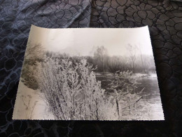 P-1256 , Photo, Les Bords De La Moselle Dans Un Paysage Givré, 16 Janvier 1966 - Lieux