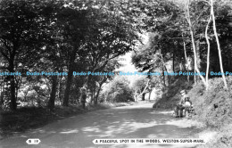 R177640 B 19. A Peaceful Spot In The Woods. Weston Super Mare. H. J. Series. 196 - Wereld
