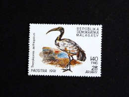 MADAGASCAR YT 1027 ** MNH - IBIS SACRE OISEAU BIRD VOGEL - Madagascar (1960-...)