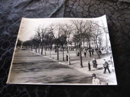 P-1260 , Photo, Carnaval De Nancy, La Grande Place, Circa 1965 - Places