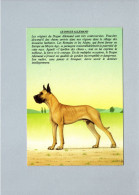 Chiens - Hunde