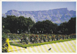 AK 215373 SOUTH AFRICA - Cape Town Gardens And Table Mountain - South Africa