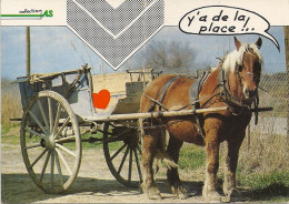 *CPM - Animaux Humoristiques - Cheval Tractant Une Charrette - Y'a De La Place ! .. - Humour