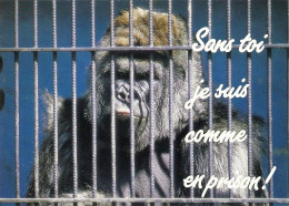 *CPM - Animaux Humoristiques - Gorille Derrière Des Barreaux ; Sans Toi Je Suis Comme En Prison - Humour