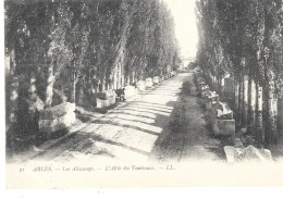 13 - ARLES - Les Aliscamps - L'Allée Des Tombeaux  (CP Précurseur 1900, Dos Réservé Exclusivement à L'adresse, Scan N°2) - Arles