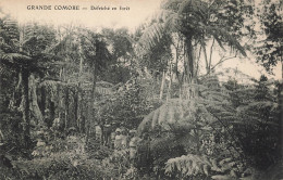 MIKICP7-043- COMORES DEFRICHE EN FORET - Comores