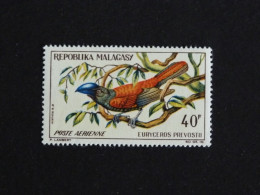 MADAGASCAR YT PA 89 ** MNH - EURYCERE DE PREVOST OISEAU BIRD VOGEL - Madagascar (1960-...)