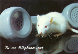 *CPM - Animaux Humoristiques - RAT - Tu Me Téléphones-rat - Humour