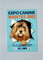 Chiens - Hunde