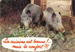 *CPM - Animaux Humoristiques - Sangliers - La Cuisine Est Bonne!... Mais Le Confort ?!! - Humor