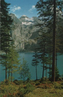 95658 - Oeschinensee - Schweiz - Blümlisalp - Autres & Non Classés