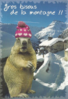 *CPM - Animaux Humoristiques - Marmotte - Gros Bisous De La Montagne !! - Humour