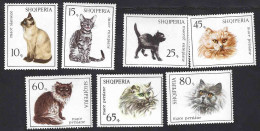 Albania, Albanie 1966; Serie Completa 7 Valori Con GATTO, Complete Series 7 Values With CAT. - Chats Domestiques