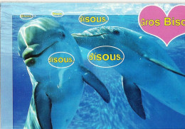 *CPM - Animaux Humoristiques - 2 Dauphins - Gros Bisous - Humor