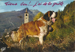 *CPM - Animaux Humoristiques - St Bernard - Tiens Bon !.. J'ai De La Gnôle - Humor