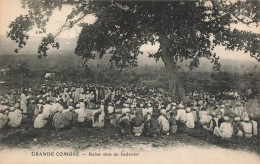 MIKICP8-001- COMORES KABAR SOUS UN BADAMIER - Comores