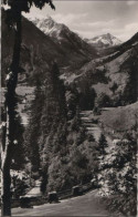 88256 - Jochstrasse - Mit Rotspitze Und Entschenkopf - Ca. 1960 - Sonstige & Ohne Zuordnung