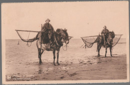 CPA CARTE POSTALE BELGIQUE  NIEUPORT PÊCHEURS DE CREVETTES 1938 - Autres & Non Classés