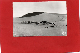 ALGERIE-----SCENES Et TYPES---Caravane Dans Les Dunes--voir 2 Scans - Scènes & Types