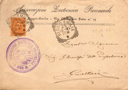 Regno D'Italia - 1892 - Associazione Zootecnica Provinciale - Busta Da Reggio Emilia Per Gualtieri, Con Testo Interno - Marcophilie
