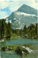 Kandersteg 1966; Arvenseeli, Kl. Rinderhorn - Gelaufen. (Gyger - Adelboden) - Kandersteg