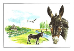 *CPM - Le Grand Noir Du Berry - Aquarelle De Martin NOUVEL - Très Belle - Donkeys