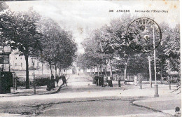 49 ANGERS Avenue De L'Hotel Dieu - Angers