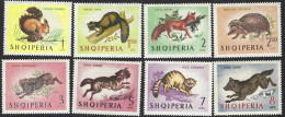 Albania, Albanie 1964; European Forest Wild Animals: Felis Silvestris=CAT, Squirrel,fox,wolf,hare,hedgehog,marten,jackal - Katten