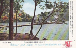 AK 215416 JAPAN - National Park Hakone - Other & Unclassified