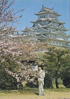 AK 215417 JAPAN - Himeji Castle - Autres & Non Classés