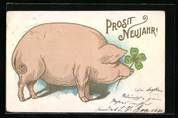 AK Schwein Mit Vierblättrigem Kleeblatt Wünscht Prosit Neujahr  - Pigs