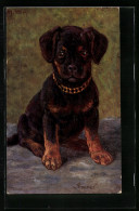 AK Junger Hund Mit Halsband, Portrait  - Hunde