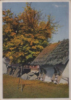 32595 - Stola - Herbstlicher WEinkel - Ca. 1955 - Slovaquie