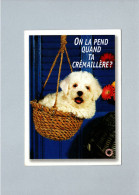 Chiens - Hunde