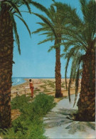 102855 - Spanien - Playa Del Inglés - 1973 - Gran Canaria