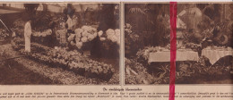 Heemstede - Bloemententoonstelling - Orig. Knipsel Coupure Tijdschrift Magazine - 1925 - Ohne Zuordnung