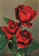117441 - Der Lieben Mutter Rosen - Muttertag