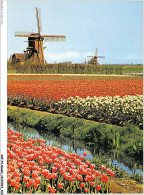 AKPP4-0357-MOULIN - LA HOLLANDE EN PARURE DES FLEURS  - Windmills